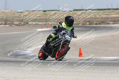 media/Aug-03-2024-TrackDaz (Sat) [[30bed884ff]]/C Group/1240pm (Grapevine)/